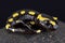 Fire salamander (Salamandra salamandra)