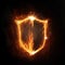 Fire shield icon