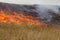 Fire in steppe