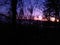 Fire sunrise dark sky profile trees