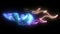 Fire Swan Gradient Colorful Style. digital neon video