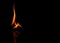 Fire texture in black backgrounds