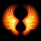 Fire Wings