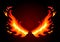 Fire wings on dark background