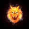 Fire Wolf Head