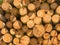 Fire wood eucalyptus texture