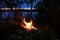 Firebird shape bonfire