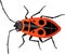 Firebug Pyrrhocoris apterus