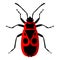 Firebug. Vector illustration. Isolated on a white