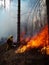 Firefighter in action, extinguishing a fire with a hose.