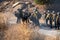 Firefighter crews from Ventura County Fire Department deploy to a brush fire