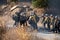 Firefighter crews from Ventura County Fire Department deploy to a brush fire