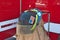 Firefighter\'s helmet on coat