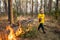 Firefighter using a controlled fire in the forest