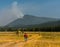 Firefighter walking toward helicopter Kootenal Forest fire