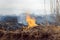 Firefighters battle a wildfire. Ecological disaster concept. Australia. Brazil