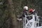 Firefighters cutting branches of a tree