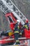 Firefighters cutting branches of a tree