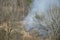 Firefighters extinguish a fire of dry grass next to the forest, smoke rising near the beehives