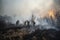 Firefighters fighting a fire in a forest. Firefighters fighting a fire. forest fire with trees on fire firefighters trying to stop