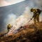 Firefighters in protective suits and masks extinguish a fire in nature in the mountains, hot summer,