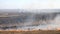 Firefighters in uniform extinguish a natural fire. Burning field on the background of the plant, the city. Dry grass in