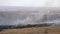 Firefighters in uniform extinguish a natural fire. Burning field on the background of the plant, the city. Dry grass in