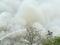 Firefighters up in bucket spraying a stream of water on an unseen fire, the background filled with white smoke