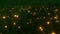 Fireflies in a dark green fantasy forest loop animation