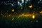 Fireflies flying in night forest