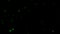 Fireflies green light against black background for overlay vdo design