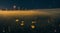 Fireflies hovering above a field of tall grass at dusk.