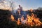 Fireman ecologist fighting fire in field in the evening