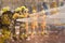 Fireman showing how to use a fire sprinklers. on a training fire