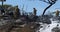 Firemen extinguishing a fire at a homeless encampment on top of a hill