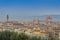 Firenze from above