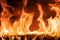 Fireplace with burning log