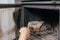 Fireplace cleaning. A woman\'s hand holds a shovel with ash in a burnt-out fireplace. Close up view