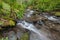 Fires Creek, Nantahala National Forest