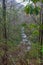 Fires Creek, Nantahala National Forest