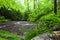 Fires Creek, Nantahala National Forest