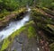 Fires Creek, Nantahala National Forest, NC