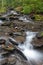 Fires Creek, Nantahala National Forest, NC