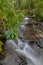 Fires Creek, Nantahala National Forest, NC