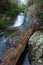 Fires Creek Waterfall, Nantahala NF