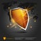 Firewall shield background. internet security. shield on the background of the map