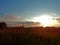 A fireweed field at sunset with the White Sea in the background