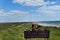 Firewood in a barbecue on the seashore. Picnic. Relax on the beach