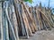 firewood being dried in the yard with vertical arrangement