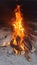 Firewood burning in a bonfire